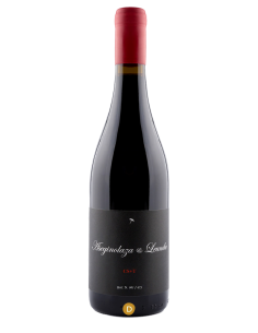 Aseginolaza & Leunda | CS+T