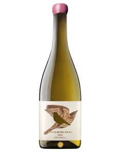 Zorzal Señora de Las...