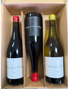 Estuche Aseginolaza&Leunda 2