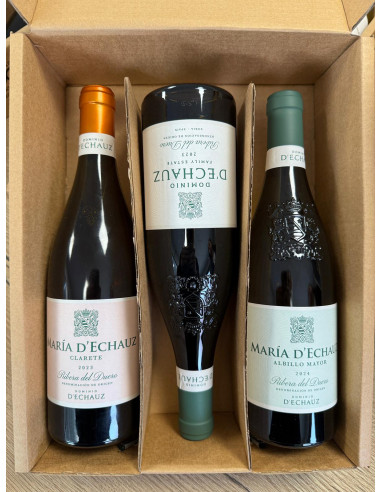 Estuche Dominio de Echauz