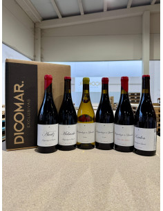 Kit de Supervivencia de...