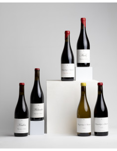 Los 6 imprescindibles de...