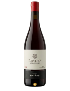 Lindes de Remelluri Briñas
