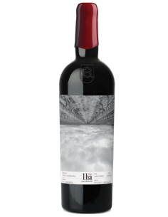 Otazu 1ha. Tinto Garnacha