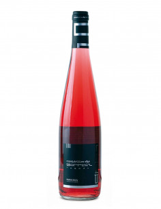 Castillo de Gorraiz Rosado