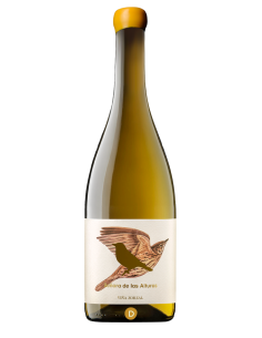 Zorzal Señora de las...