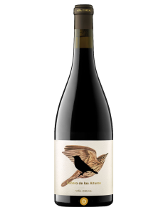 Zorzal Señora de las...