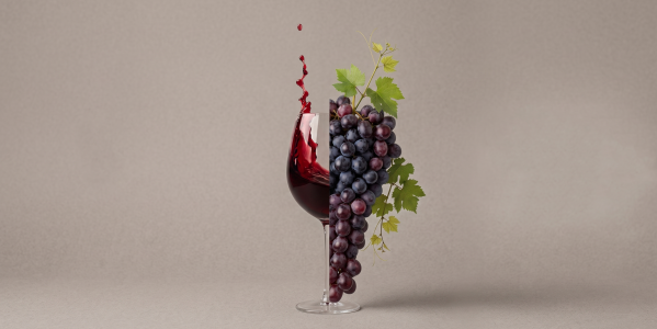 Tipos de Vino Tinto: Guía para elegir el mejor en cada ocasión