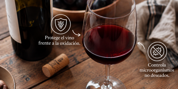 Sulfitos en el vino: qué son, para qué sirven y si dan dolor de cabeza