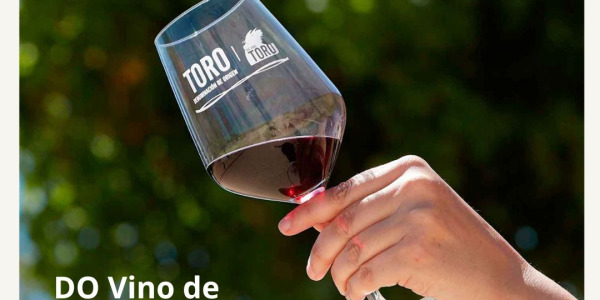 Vinos de Toro: qué son, características y nuestros vinos recomendados