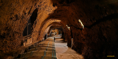 Blancos de guarda: qué son, cómo elegirlos y 8 vinos (muy) serios para guardar