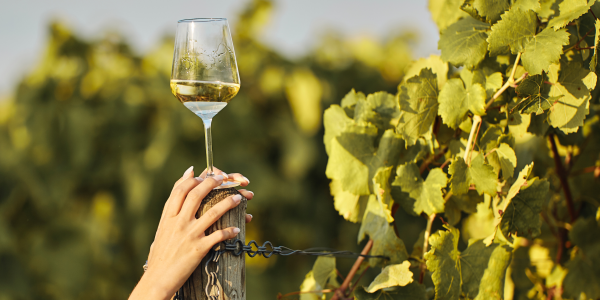 Las cinco claves para entender cómo se elaboran los vinos semidulces